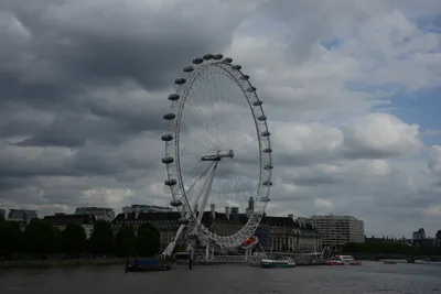 DSC_2787 (Large).JPG